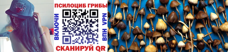 Галлюциногенные грибы MAGIC MUSHROOMS  Лиски 